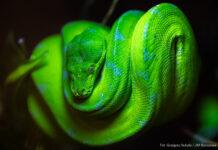 wystawa-piwnice-rzeszowskie