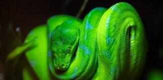 wystawa-piwnice-rzeszowskie