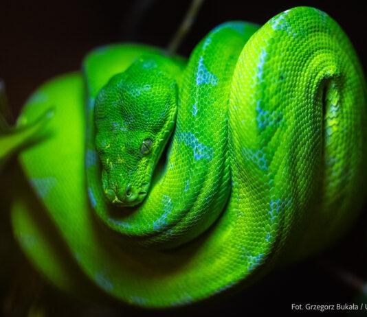 wystawa-piwnice-rzeszowskie