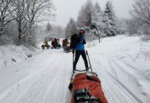 bieszczady akacja ratynkowa