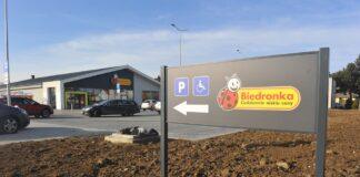 biedronka-drabinianka