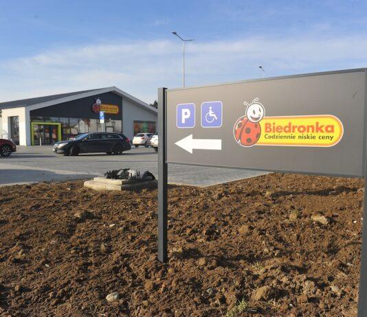 biedronka-drabinianka