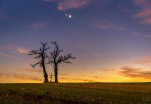 Zaczarowana akacja i magiczne Podkarpacie. Fotograficzne podsumowanie roku 2024 Witolda Ochała witold-ochal-koniunkcja