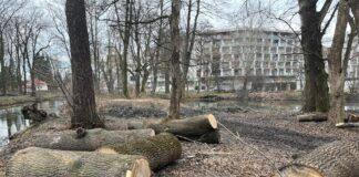 wycinka-drzew-park-szafera-na-slocinie