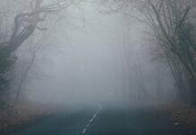 IMGW. Mgła ograniczy widzialność poniżej 200 metrów w całym woj. podkarpackim