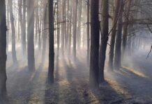 pogwizdow-stary-pozar-nieuzytkow