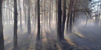 pogwizdow-stary-pozar-nieuzytkow