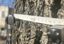 tomograf-drzewny-rzeszow