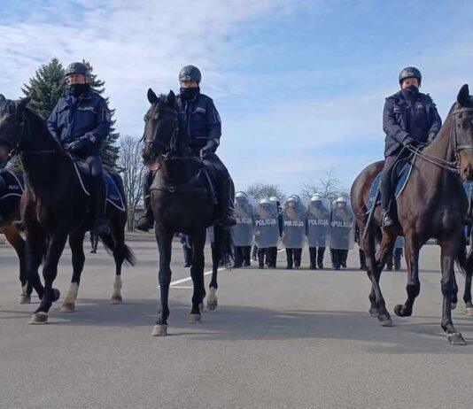 Konne patrole na ulicach Rzeszowa. Policjanci łączą służbę z pasją
