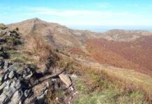 Ilu turystów odwiedziło Podkarpacie w 2024 r.? Są spadki i wzrosty