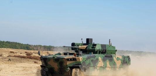 borsuk-huta-stalowa-wola