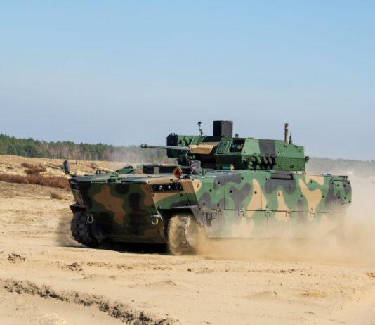 borsuk-huta-stalowa-wola