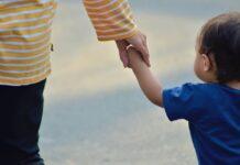 Rzeszów zakwitnie na żółto z finałem „Pól Nadziei”. W ubiegłym tygodniu zebrano 50 tys. zł na chore dzieci