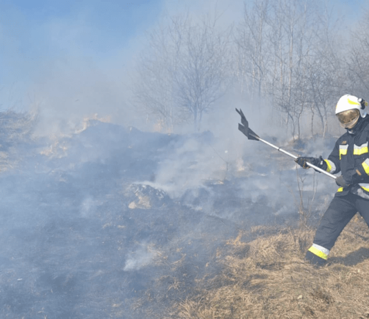 gaszenie-wypalania-traw