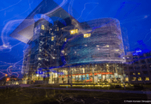 Polski Komitet Olimpijski dostał 900 tys. zł od urzędu marszałkowskiego woj. podkarpackiego