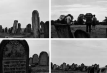 Zbierają zdjęcia i wspomnienia o cmentarzu żydowskim w Rzeszowie. Wkrótce rozpoczną prace porządkowe