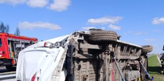 dachowanie-a4-dostawczy