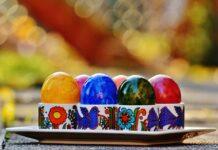 Sposób na naturalne farbowanie jajek. Pisanki wielkanocne można malować używając popularnych roślin