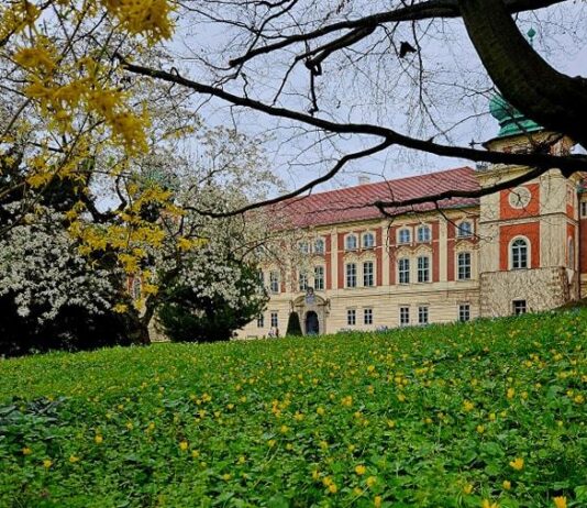 muzeum-zamek-lancut