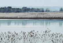 grzegorz-wojcik-obraz