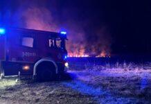 pozary-traw-podkarpacie