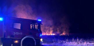 pozary-traw-podkarpacie