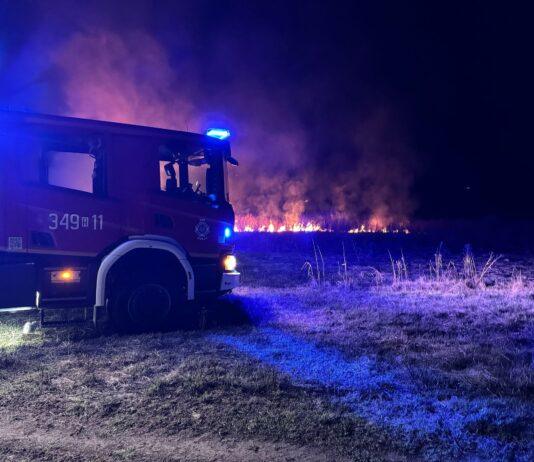 Niższe temperatury nie zahamowały pożarów traw na Podkarpaciu. Przypadek? pozary-traw-podkarpacie