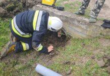 pies-przepust-strazacy