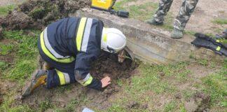 pies-przepust-strazacy