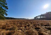 rezerwat-dolina-jodlowki