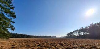 rezerwat-dolina-jodlowki