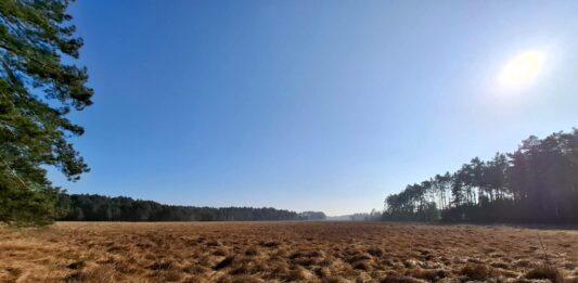 rezerwat-dolina-jodlowki