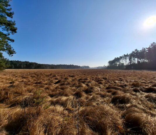 rezerwat-dolina-jodlowki