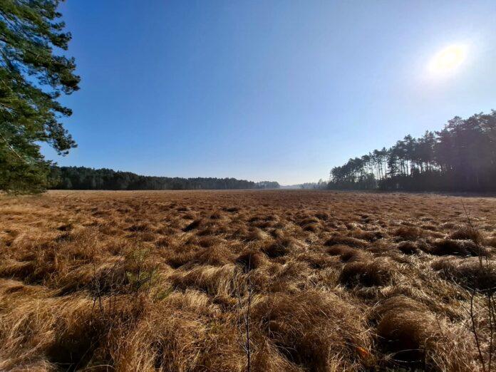 rezerwat-dolina-jodlowki