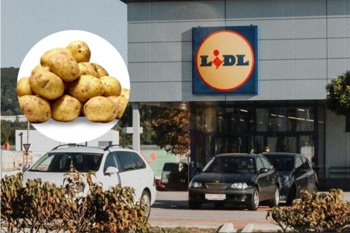 lidl-ziemniaki