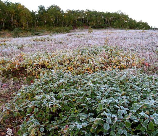 Uwaga na zmienną pogodę i możliwe przymrozki. IMGW ostrzega mieszkańców Podkarpacia przymrozki