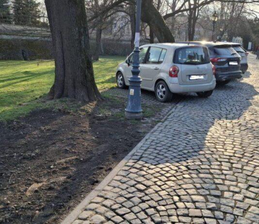 Mandaty sypią się jak z rękawa. Kierowcy mają za nic zakaz parkowania na al. Pod Kasztanami