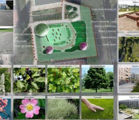 Dziewięć nowych boisk przy rzeszowskich szkołach. Wiemy gdzie i kiedy powstaną