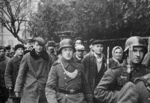 82 lata temu Niemcy pacyfikowali Łańcut. Czytelnik dzieli się z nami swoją wiedzą