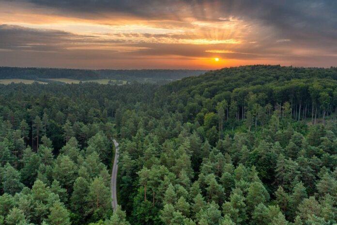 Roztocze - Wschód słońca okolice Werchraty_fot.Arch. Podkarpackie.Travel (K. Kłysewicz)