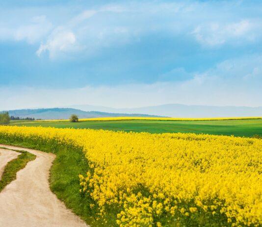 Najdłuższa nazwa wsi w Polsce może zniknąć z mapy. To miejscowość z powiatu rzeszowskiego