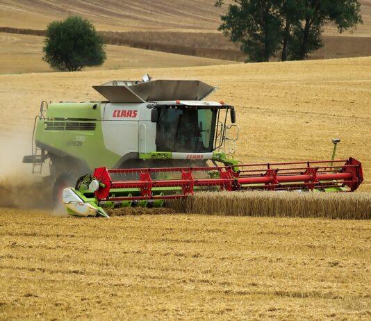 Mniejsze zbiory, zmienne ceny, rosnąca wartość ziemi. Rolnictwo na Podkarpaciu w 2024 roku