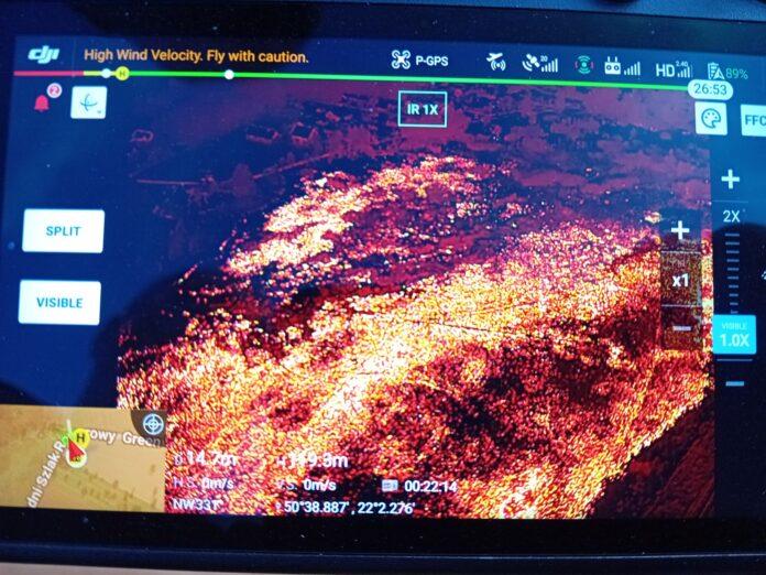 pozar-nieuzytki-dabrowa-rzeczycka