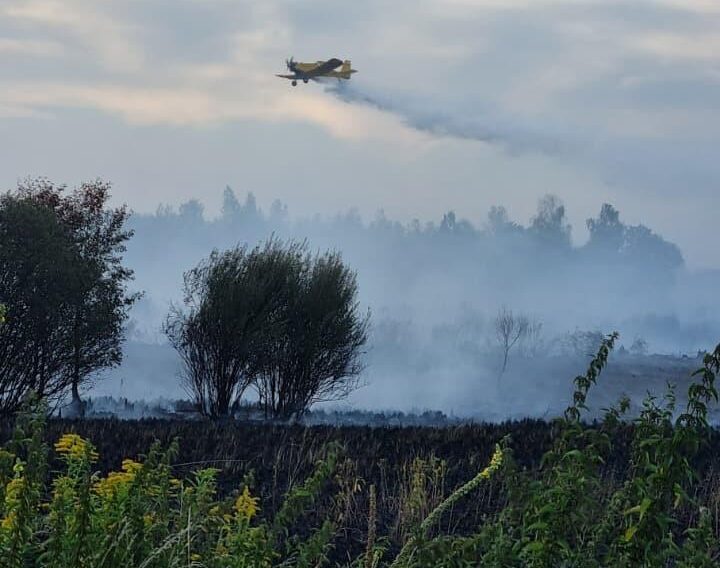 pozar-nieuzytki-dabrowa-rzeczycka