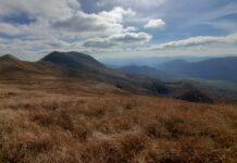 Marka karpacka, inwestycje z Chinami i nowe miejsca pracy. Historyczne porozumienie w Rzeszowie