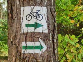 ścieżka rowerowa