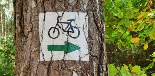ścieżka rowerowa