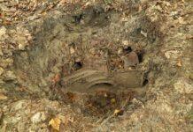 Nietypowe znalezisko w jednym z podkarpackich nadleśnictw. Ziemia skrywała… starą młocarnię