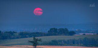 rozowy-ksiezyc-podkarpacie