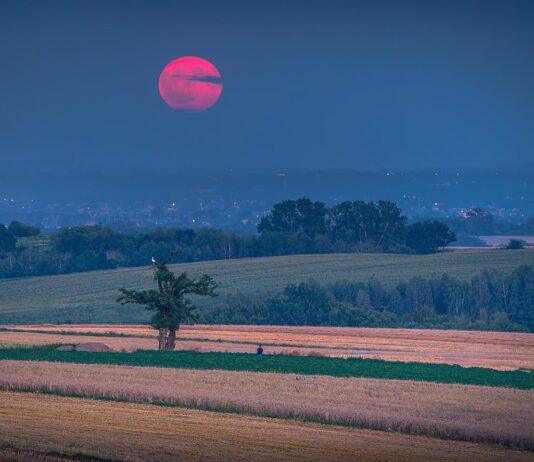 Różowy Księżyc nad Podkarpaciem. “Kilka minut, które wydają się bajką” rozowy-ksiezyc-podkarpacie